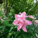 (주)마당 이미지