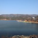 01-20 동구 Daum카페