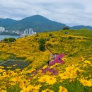 꽃동산 Daum카페
