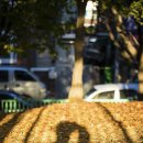 금정제일공원 이미지