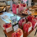 별을 보며 빵을 굽다 이미지