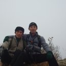 우복천 Daum카페