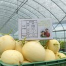 이병철농장 이미지