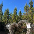 내동농장 이미지