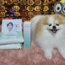 (주)엔피바이옴 | 에브리원스 10초샤워 펫 바디티슈 & 강아지 보습미스트 바질수딩미스트 솔직후기.