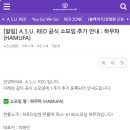 레드존안양