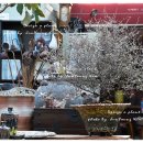 크로키아 이미지