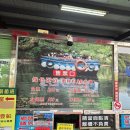 녹색길 | 대만 타이난 당일치기 | 쓰차오 녹색터널 여행 할인 예매 꿀팁 (가는법, 소요시간, 후기)