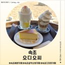 속초 예쁜 카페 오디오씨 후기