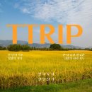 파스텔시티Ⅱ 이미지