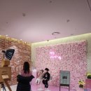 플라워봄 이미지