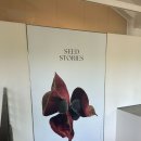 고은보석 | 해운대 가볼만한 곳 고은사진미술관 전시추천 | 씨앗이 우주가 되는 사진전 “SEED STORIES” 관람 후기