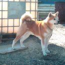 대풍농장 이미지