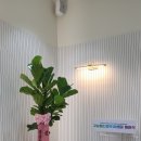 광동메디칼 이미지