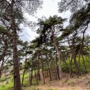 장영펜션 이미지