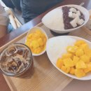 설가 | (잠실 빙수 맛집) 더설, 팥빙수 그리고 망고빙수_팥친자들의 진솔 후기