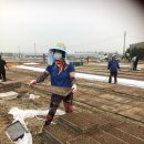 동읍농협 이미지