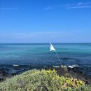 선인장을 부탁해 이미지