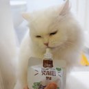 펫시피 | 넉넉한 양이 만족스러운 고양이간식 캣시피 허브신상도 먹어보자옹(+냠찹연구원)