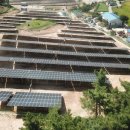 영진태양광발전소 이미지