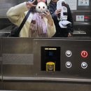 양천로 61길 이미지