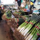 농산물종합시장1 이미지