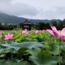 신정호수공원-7 이미지