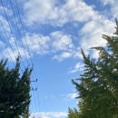 궁무인호텔 이미지