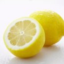 레몬의 꿈 이미지