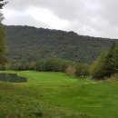 용평 버치힐골프클럽 이미지