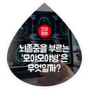 뇌졸중을 부르는 '모야모야병'은 뭘까요? 이미지