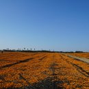 미래목장 이미지