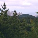 포항철길숲 이미지