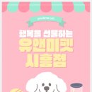 벨라 펫샵 | 🐱 안양랙돌분양 후기｜유앤미펫에서 만난 천사 같은 랙돌과의 하루💛