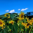 이민경 행정사 사무소 이미지