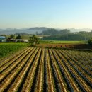 유상목장 이미지