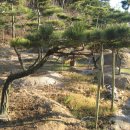 지리산 농장 이미지