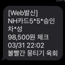 볼빨간뭉티기육회 이미지