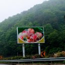 선아 농장 이미지