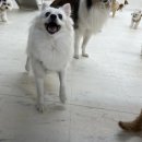 멍스베리 이미지