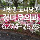 정다운외과의원 네이버블로그