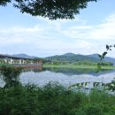 다온가축인공수정소 | ② 양수리 세미원, 두물머리 산책 - ( 2021.06.28 )