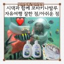 달살이 여행 | 시댁과 말레이시아 코타키나발루 3박 5일 자유여행 솔직 후기