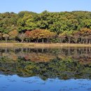 율동공원 이미지