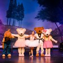 비바츠LED 태권발레 이미지