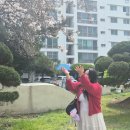 또오이소 이미지