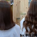 후타고 헤어(학익점)