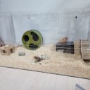 단케로