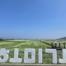 낙원메밀