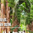 권이네농장 이미지